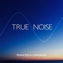 True Noise