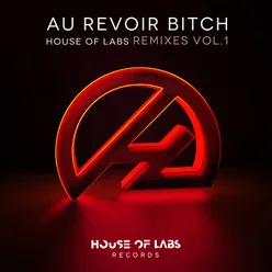 Au Revoir Bitch-Gsp Remix