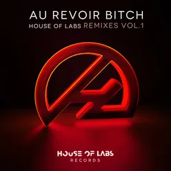 Au Revoir Bitch-Roger Grey Remix