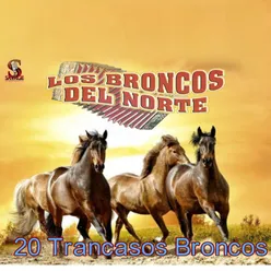 20 Trancasos Broncos