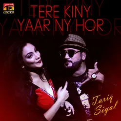 Tere Kiny Yaar NY Hor - Single