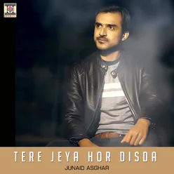 Tere Jeya Hor Disda