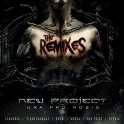 Ora Pro Nobis The Remixes