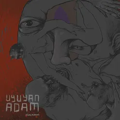 Uyuyan Adam