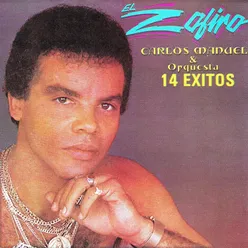 14 Exitos