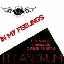 In My Feelings-Radio Version