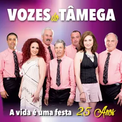 A Vida É uma Festa - 25 Anos