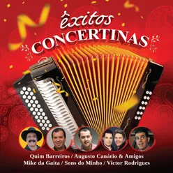 Êxitos Concertinas