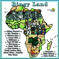 Bingy Land