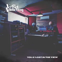 Vol. II: Lost in the View