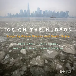 Ice on the Hudson