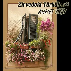 Zirvedeki Türküler,Vol.2