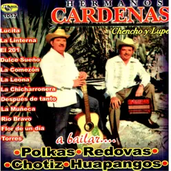 Polkas, Redovas, Chotiz, Huapangos