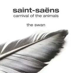 Le carnaval des animaux, R. 125: XIII. Le Cygne (Arr For Piano by Leopold Godowsky)