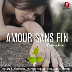 Amour Sans Fin - Single