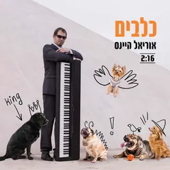 כלבים