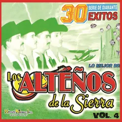 30 Exitos Serie de Diamante, Vol. 4