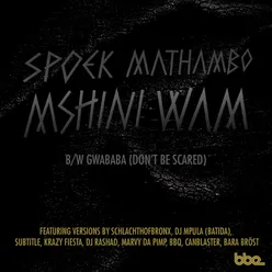 Gwababa (Don't Be Scared)-Subtitle Remix