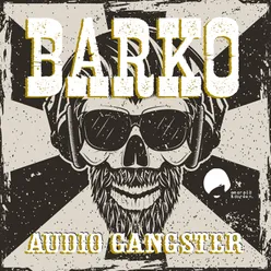 Audio Gangster-Shadow Traxx Remix