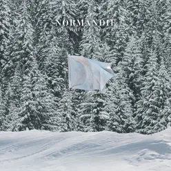 White Flag-Reimagined