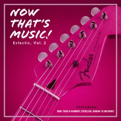 Now That's Music! Eclectic, Vol. 2