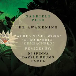 Words Never Work-DJ Spinna Galactic Soul Instrumental Remix