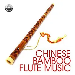 Capriccio for Chinese Flute