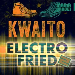 Kwaito Electrofried 2