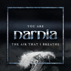 You Are the Air That I Breathe-Single Version