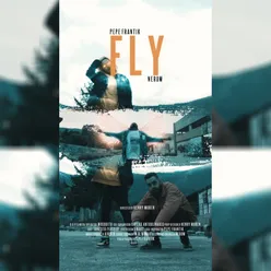 Fly