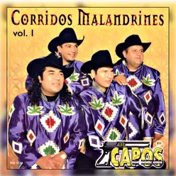 Corridos Malandrines Vol. 1