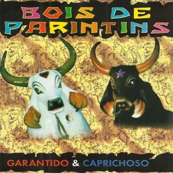 Bois de Parintins - Garantido e Caprichoso