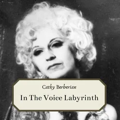 In The Voice Labyrinth