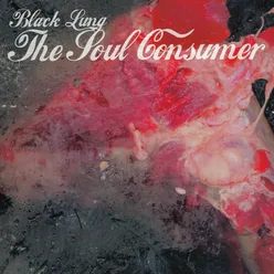 The Soul Consumer