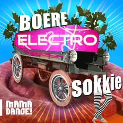 Boere Electro