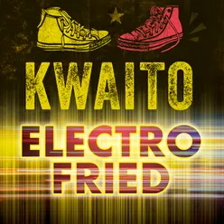 Kwaito Electrofried - Mzantsi Madness