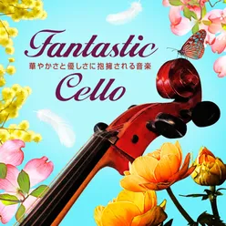 Fantastic Music with Violoncell