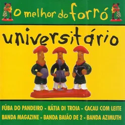 O Melhor do Forró Universitário