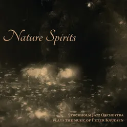 Plays the Music of Peter Knudsen: Nature Spirits