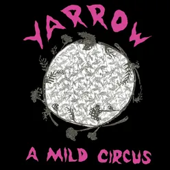 A Mild Circus