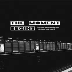 Collective Themoment Records. Electronic Music. Vol. 2