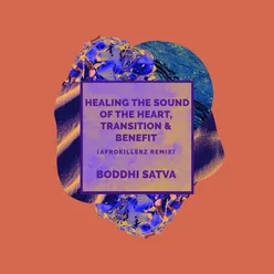 Healing the Sound of the Heart, Transition, Benefit (Afrokillerz Remix)