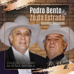 Grandes Sucessos - Coleção de Ouro da Música Sertaneja