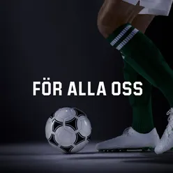 För Alla Oss-Ver.2