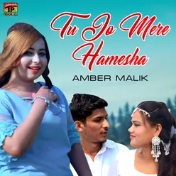 Tu Jo Mere Hamesha - Single