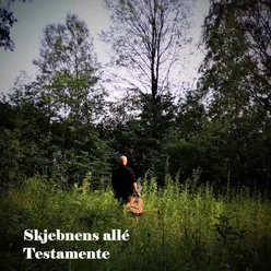 Skjebnens allé / Testamente