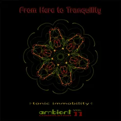 From Here to Tranquility, Vol. 11