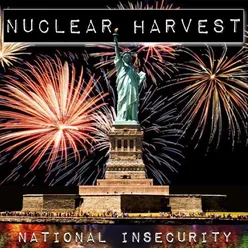 National Insecurity