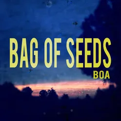 Bag of Seeds