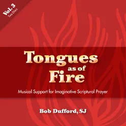Tongues as of Fire - Vol 3 (Instrumental)